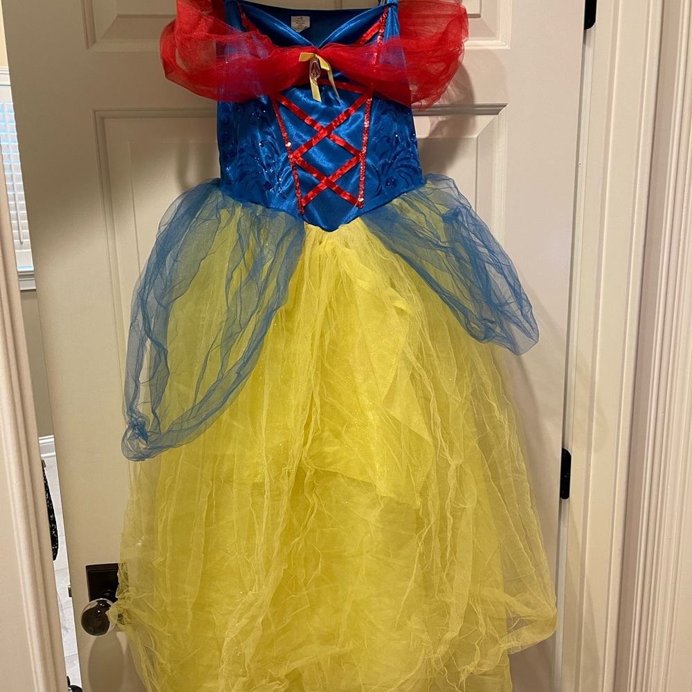 Celebrate It Enchanted Princess Costume - Blue, Yellow, Red